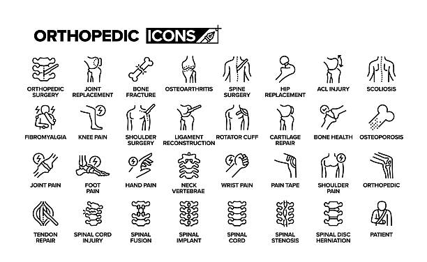 symbolsatz für orthopädische linie. gruppe von objekten. anatomie, knochenbruch, menschlicher knochen, arthritis, menschliches gelenk, gelenkersatz, orthopädische zahnspange, orthopädischer chirurg. - arthrosen stock-grafiken, -clipart, -cartoons und -symbole