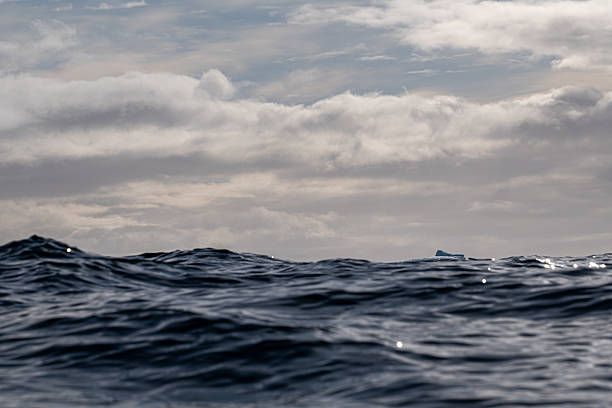 istock Southern Ocean. Water. Antarctica. Endless water 2209398489