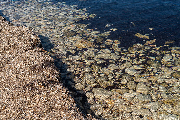 Sakarun beach, located in the northwestern part of Dugi otok, south of Veli Rat. The beach in the bay is considered one of the most beautiful natural sandy beaches in Croatia and one of the most beautiful in the world. The beach is protected by a fence. The bottom of the bay is sandy, in some places overgrown with seaweed.