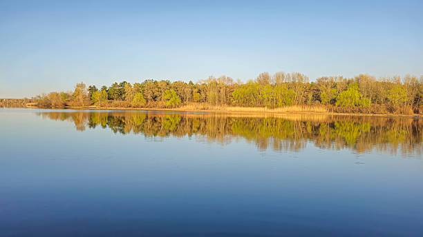 istock Large pond surrounded by trees and plants. Camping. Spring landscape. 2209399537