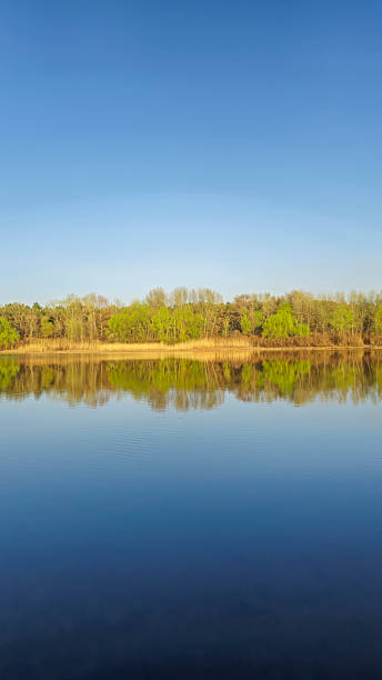 istock Large pond surrounded by trees and plants. Camping. Spring landscape. 2209399581