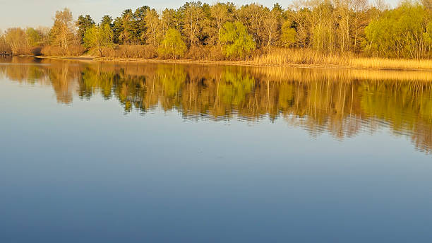 istock Large pond surrounded by trees and plants. Camping. Spring landscape. 2209399620