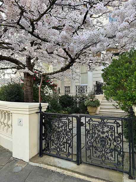 istock Cherry blossom tree and decorative wrought iron gate in Notting Hill, London. 2209402721