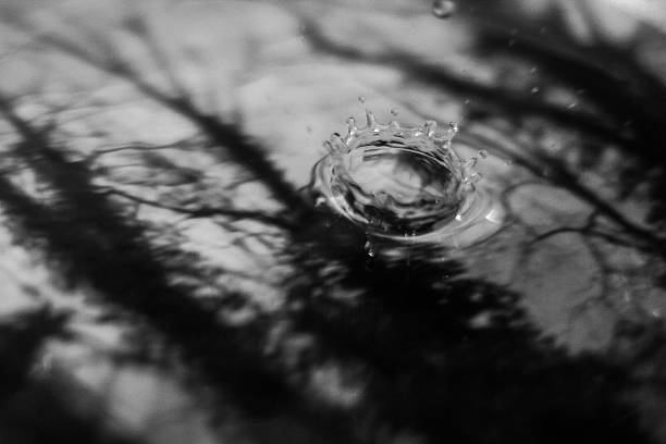 Drop in water with reflection of trees