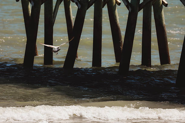 Pier, underside, sundawn