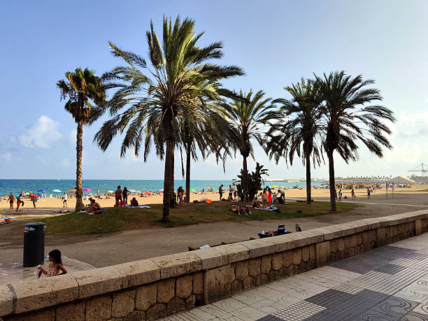 The beach at Marbella. Beautiful landscape. Palm trees and summer vibes.