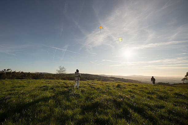 Silhouette of girl flying kite in savanna, at sunset, distant view