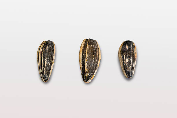 Mildly flavored shelled sunflower seeds, packed with protein and fiber, perfect for baking or adding to salads. Part of a food series.