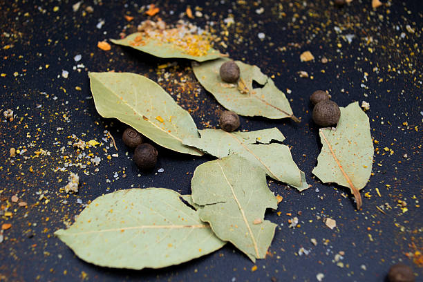 bay leaf on black background, food
