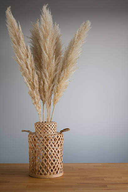 istock Pampas Grass in Woven Vase on Wooden Table - Minimalist Decor 2209420202