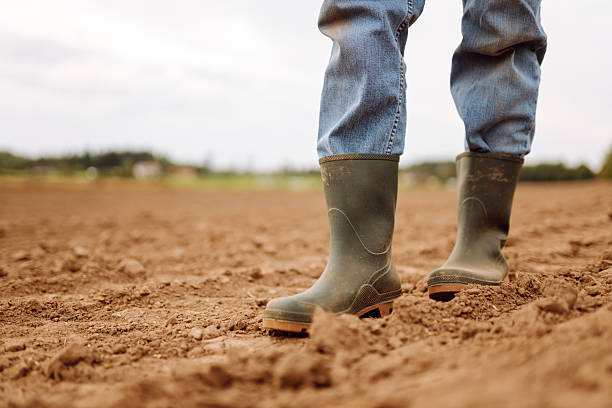 istock A farmer in rubber boots in an agricultural field on a cloudy day. 2209425598