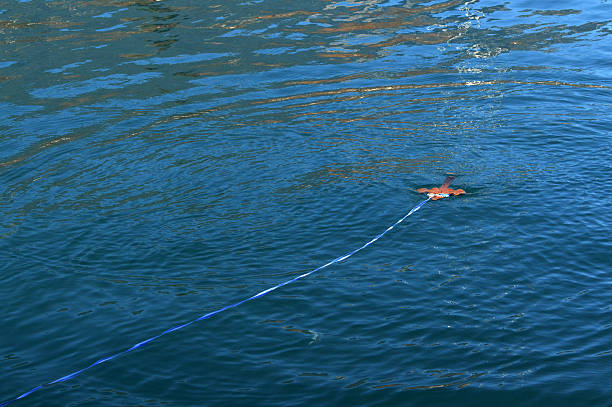 Epiphany cross on the sea for the Orthodox religious celebration