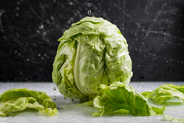 istock The cabbage head appears voluminous and textured during washing 2209427910