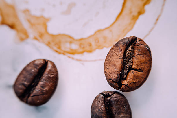 A macro shot of roasted coffee beans on a light-colored surface, accentuated by a circular coffee stain in the background. The close-up detail reveals the unique textures and natural imperfections of the beans, highlighting their rich, earthy tones. The coffee ring adds a playful, authentic touch—evoking the casual moments of coffee brewing and sipping. It's a beautifully artistic and minimal composition, perfect for use in branding, packaging, or any creative content celebrating the essence of coffee.