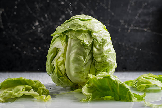 istock Cabbage is illuminated by bright light as streams of water fall onto it 2209430713