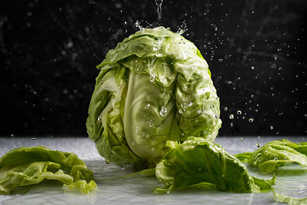 istock Cabbage looks extremely fresh thanks to the water droplets 2209430733