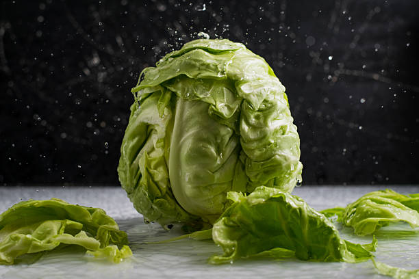 istock Cabbage looks extremely fresh thanks to the water droplets 2209430736