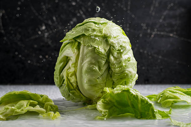 istock Cabbage glistens under the stream of water, revealing its natural structure 2209430739