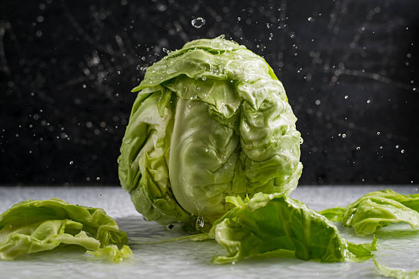 istock Each drop on the cabbage adds depth and a sense of purity. 2209430749
