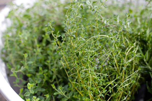 istock Fresh herbs in the garden 2209435352
