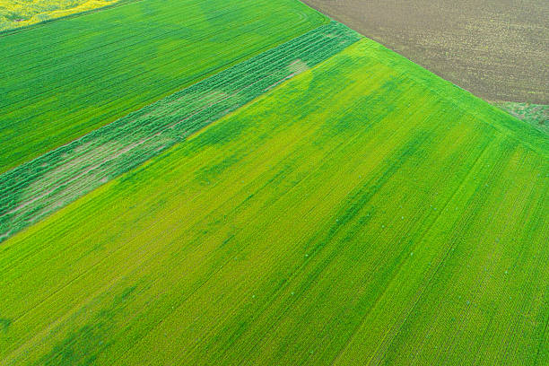 istock abstract farm landscape with green patterns from above. Aerial drone view. Background concept texture of agriculture 2209436957