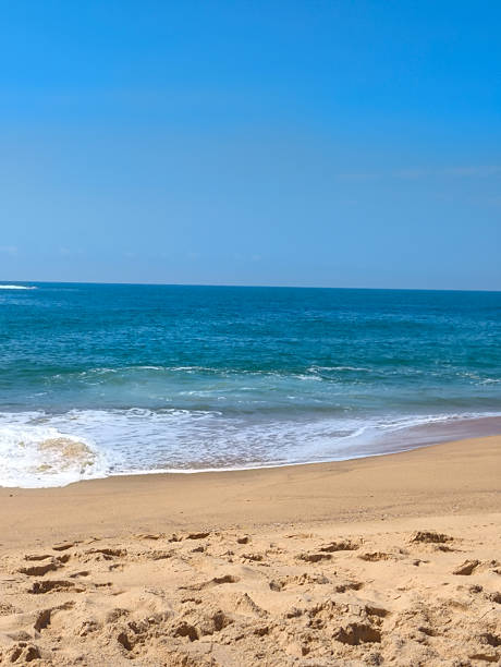 Seascape on a sunny day