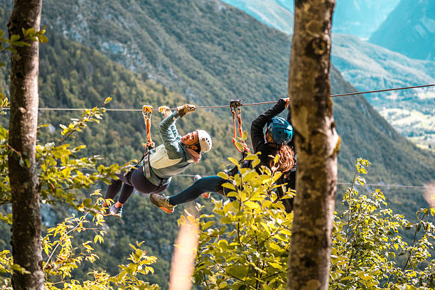 istock Energetic Diverse Group on Zip Line Adventure in Forest 2209452973