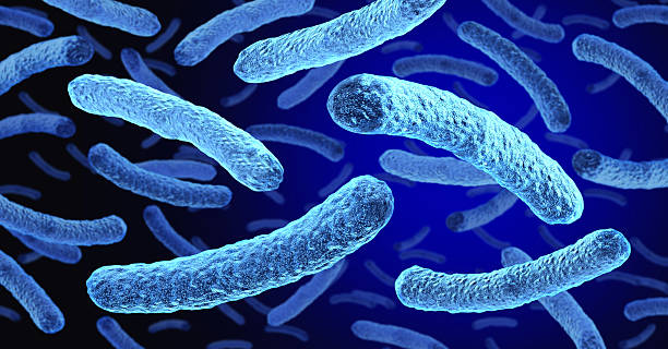Free picture: legionella, pneumophila, bacteria, colonize, grow ...