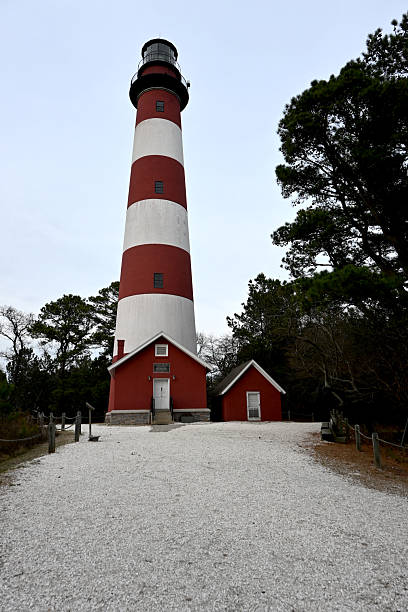 Low-angle, full shot of a tall, cylindrical lighthouse with red and white vertical stripes. A smaller, red keeper's house with a similar architectural style is situated in the foreground.  The lighthouse is prominently featured, dominating the frame. Green trees partially frame the scene on either side. The sky is overcast, with a muted light. The image exhibits a relatively high level of detail and clarity.