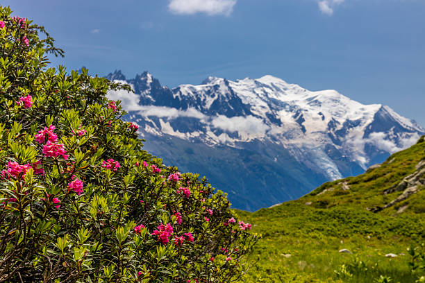 istock Chamonix Montblanc alpine mountain summits landscape 2209461580