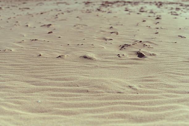 High-quality close-up photo of sand texture on a beach, capturing the warm tones and natural patterns. A perfect summer nature background evoking tranquility, vacation vibes, and a tropical scene.