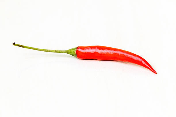 Red hot ripe chili pepper isolated on a white background.