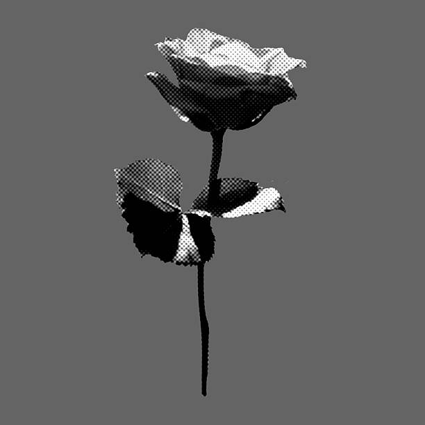 Perfect for conveying elegance and romance in your print and digital designs