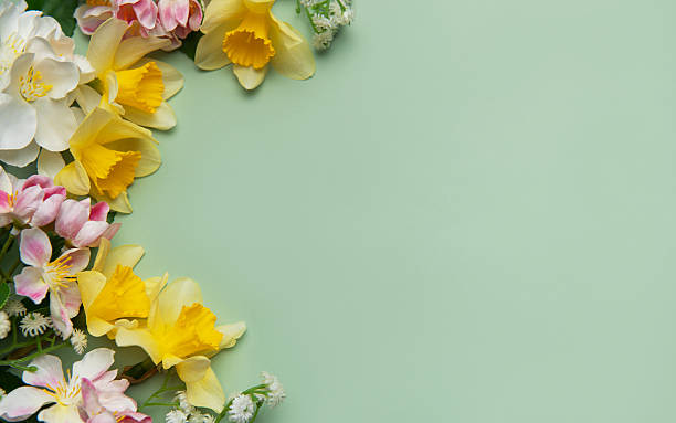 istock Spring flowers creating a border on a pastel green background with copy space 2209479828