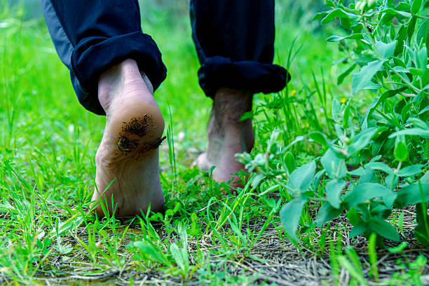istock Hiker walking barefoot on grass with dirty heels 2209481387