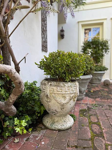 istock Antique Style Pots on a Brick Patio 2209482480