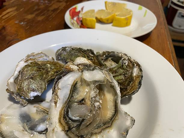 istock Delicious seafood platter with fresh oysters 2209484444
