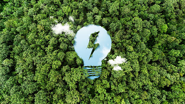 istock World Environment Day, Light Bulb Icon, Top View, Environmental Sustainability Development Concept, Global Green Space and Business. 2209485705