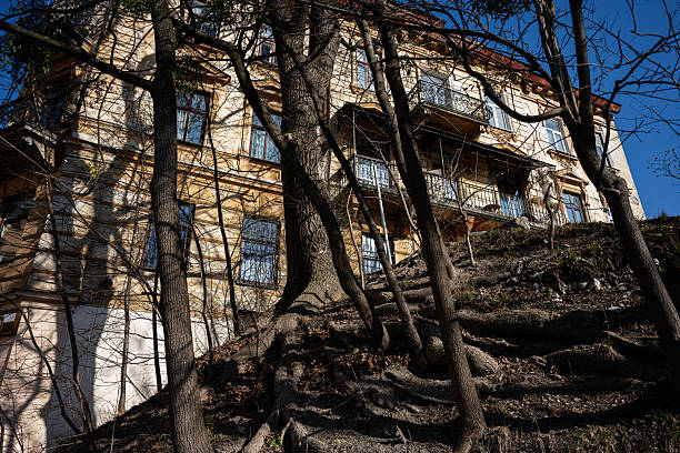 A historic building stands behind tall trees with roots on a sunny hillside.
