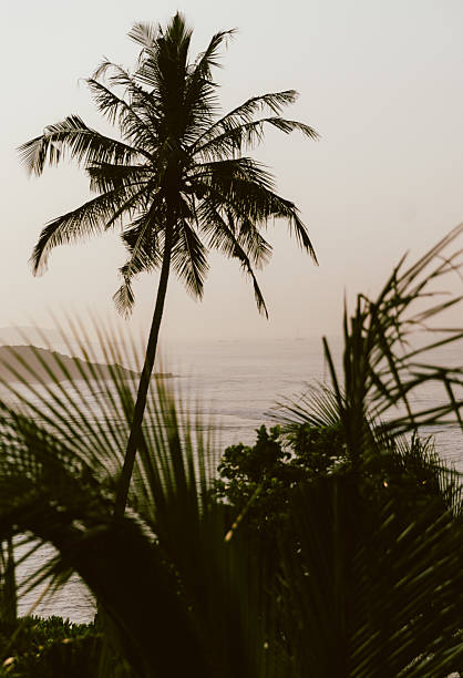 Ocean View of Sri Lanka