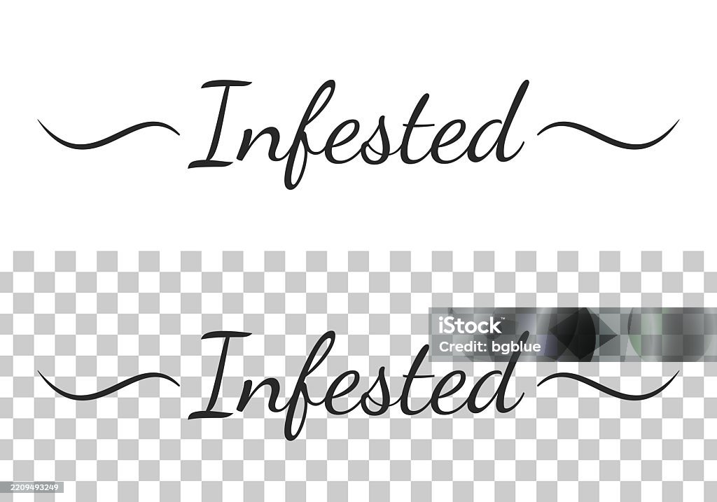 Infested Sign Printable Infested Calligraphy Text With Swashes On Blank Background Stock ...