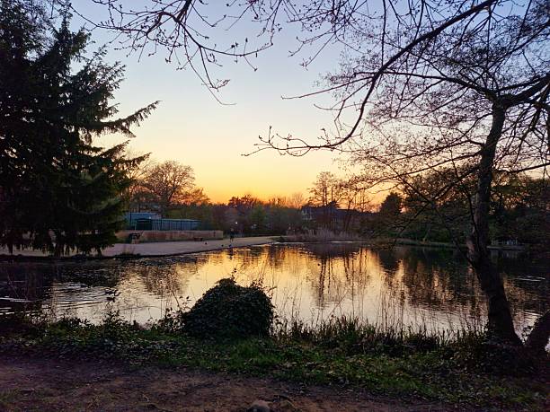 istock Highams Park Lake at dusk 2209496756