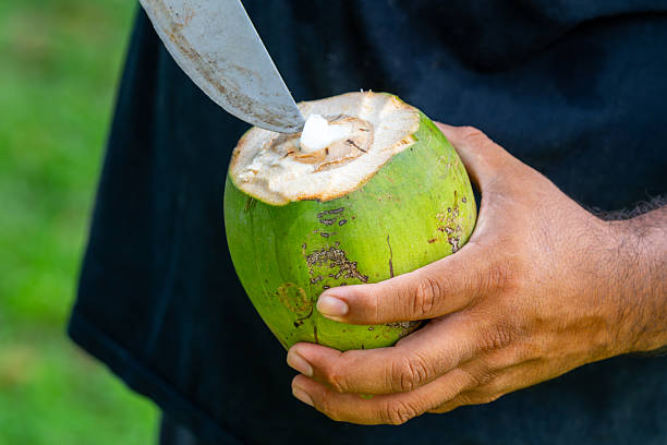 istock Close-up of unrecognizable local man using a machete to cut open a fresh green coconut 2209499041