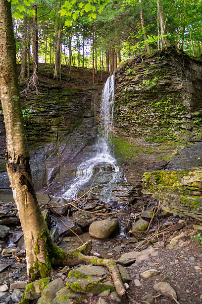 istock Moonhill Road Waterfall in Upstate New York 2209499335