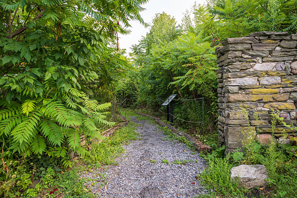 istock Stone Path at the Hinchcliff Family Perserve 2209500277