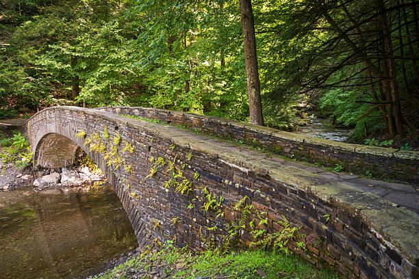 istock FIllmore Glen State Park in Upstate New York 2209500369