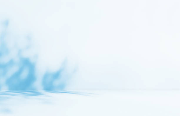 istock Empty room studio with blue shadow of leaves on concrete wall and floor for product presentation. 2209503693