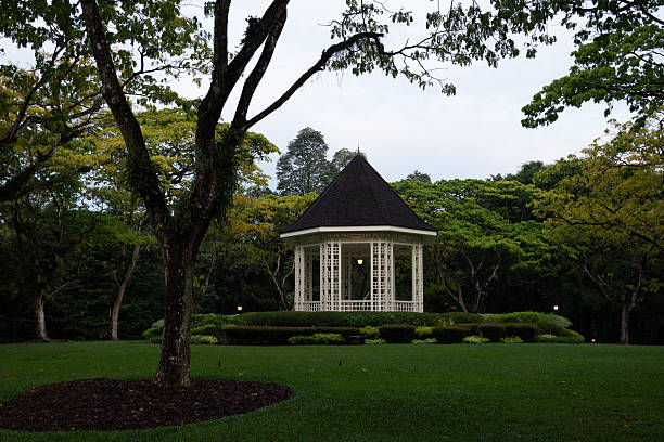 istock Singapore Botanic Gardens Orchids 2209504414