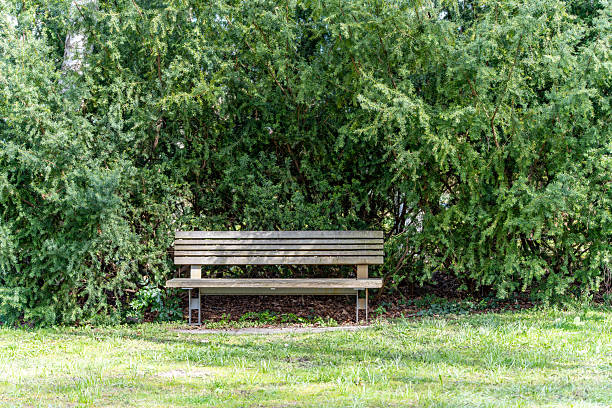 istock A wooden bench is sitting in a grassy area 2209505660