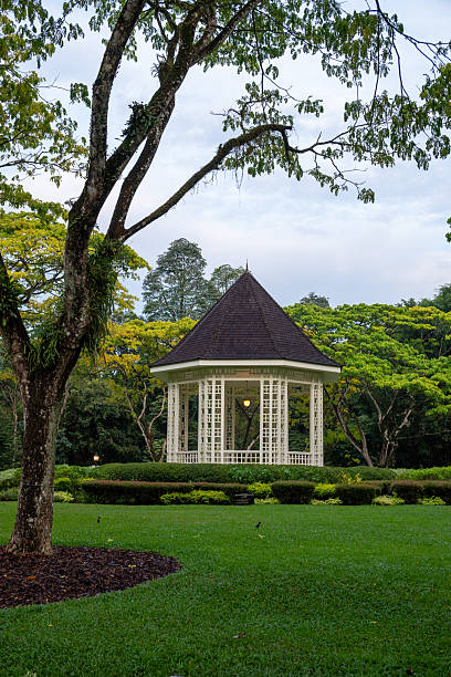 istock Singapore Botanic Gardens Orchids 2209506898